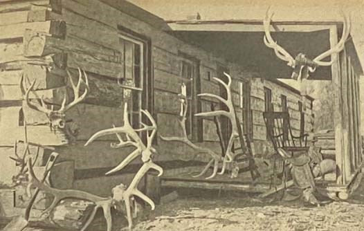 Outdoor Pastimes of an American Hunter