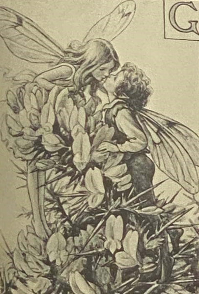An Encyclopedia of Fairies: Hobgoblins, Brownies, Bogies, and Other Supernatural Creatures