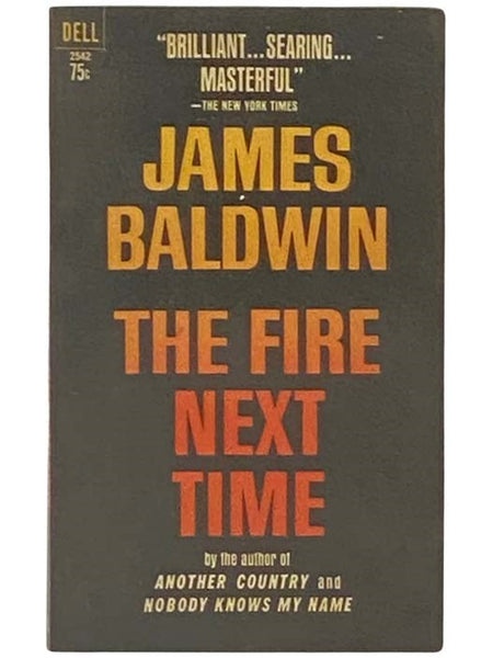 The Fire Next Time (2542)