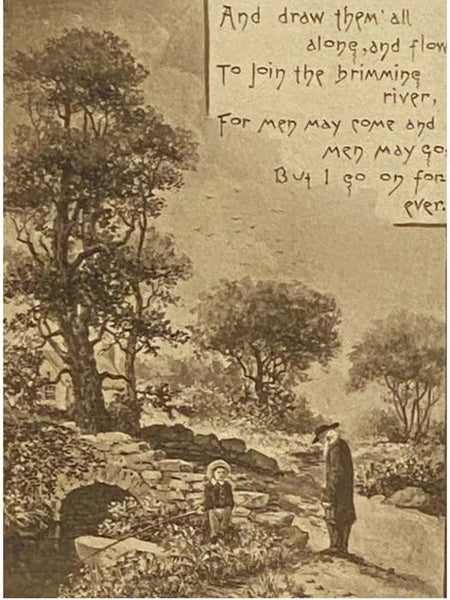 The Song of the Brook, with 15 Illustrations by The Photo-Gravure Co. After Original Drawings by William J. Mozart