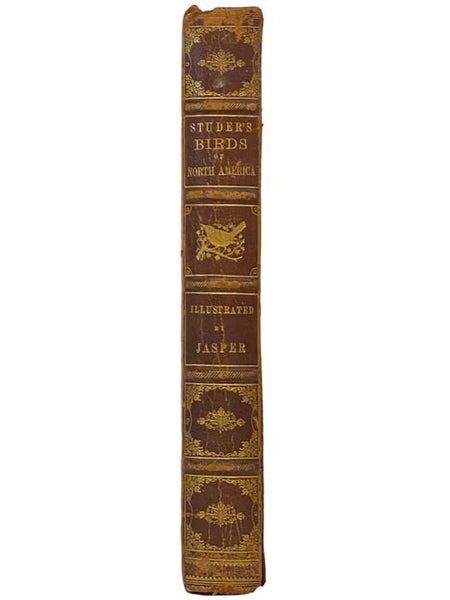 Studer's Popular Ornithology. The Birds of North America: Upwards of Seven Hundred Different Species and Varieties, Comprising All That Are Known to Exist on This Continent, Are Represented on the One Hundred and Nineteen Crayon Plates, Artistically Draw…