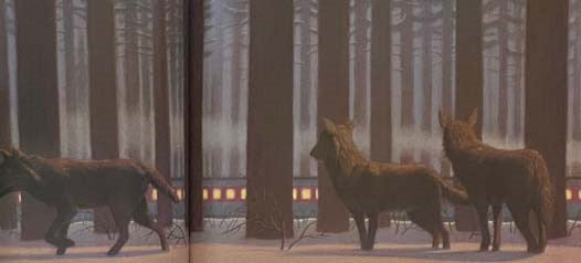 The Polar Express