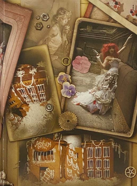 The Asylum for Wayward Victorian Girls