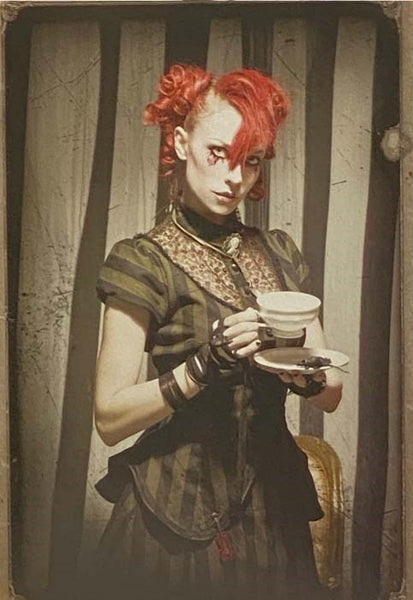 The Asylum for Wayward Victorian Girls