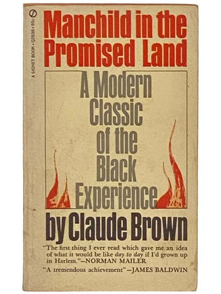 Manchild in the Promised Land: A Modern Classic of the Black Experience