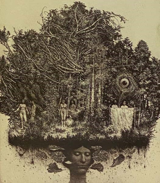Albin Brunovsky