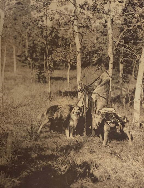 Portraits from North American Indian Life