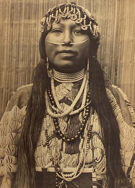 Portraits from North American Indian Life