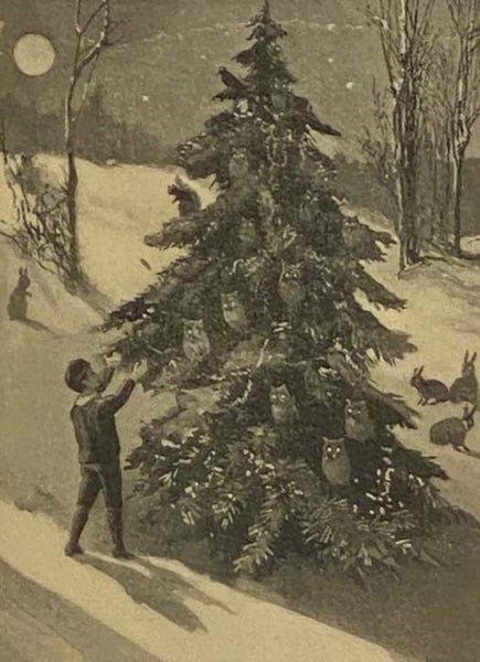 The Happy Forest and Its Christmases