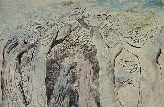 William Blake: A Complete Catalogue of the Works in the Tate Gallery [Catalog]