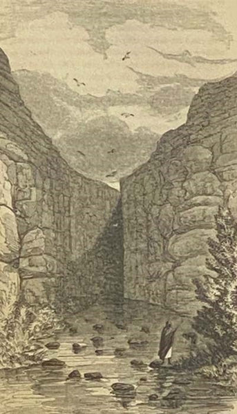 Narrative of the United States Expedition to the River Jordan and the Dead Sea, with Maps and Numerous Illustrations.
