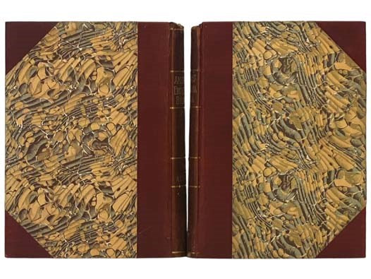 New Americanized Encyclopaedia Britannica (Twentieth Century Edition): A Dictionary of Arts, Sciences, and Literature with Many Articles by Special Writers, Fully Illustrated and Revised Throughout to Date, with Over One Hundred Colored Maps, in Fourteen…