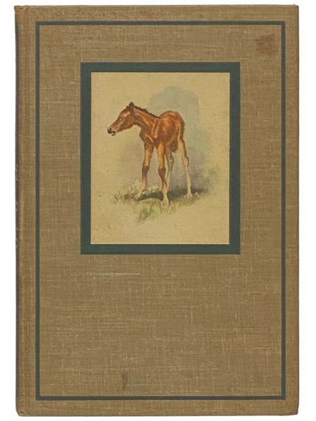 The Red Pony