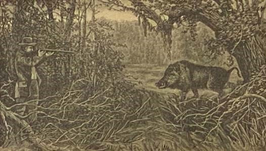 The Pioneer Preacher: Incidents of Interest, and Experiences in the Author's Life. Revival Labors in the Frontier Settlements. A Perilous Trip Across the Plains in Time of Indian Wars, and Before the Railroads. Three Years in the Mining Camps of Californ…