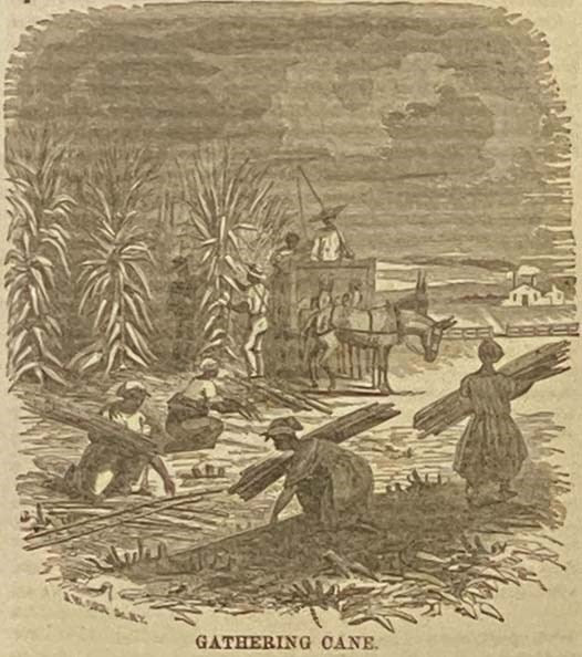 History of Slavery and the Slave Trade, Ancient and Modern, and of the Political History of Slavery in the United States. Compiled from Authentic Materials