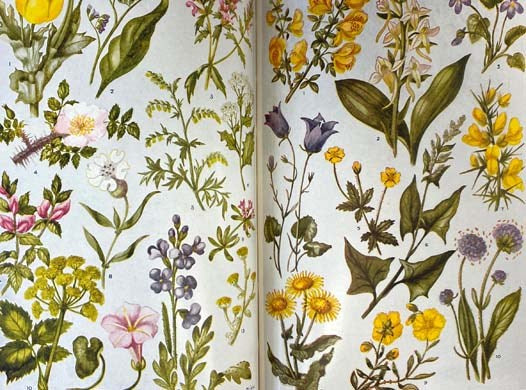 The Book of Knowledge: The Children's Encyclopedia, 10 Volume Set Plus 1940 Annual "The Children's Book of the Year"