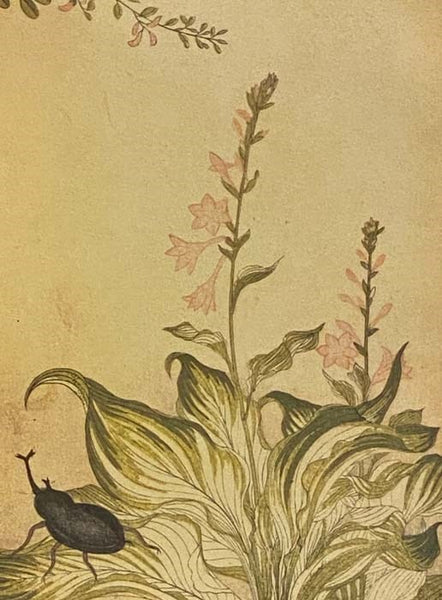 Utamaro: Songs of the Garden