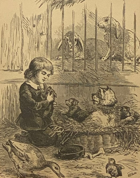 Teddy and His Friends
