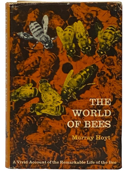 The World of Bees