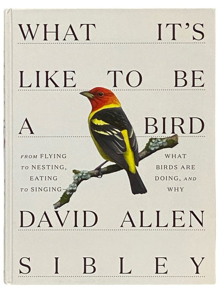 What It's Like to Be a Bird: From Flying to Nesting, Eating to Singing--What Birds Are Doing, and Why