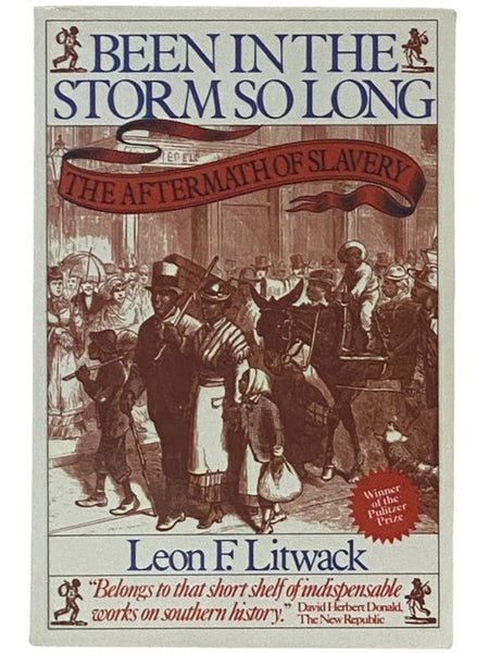 Been in the Storm So Long: The Aftermath of Slavery