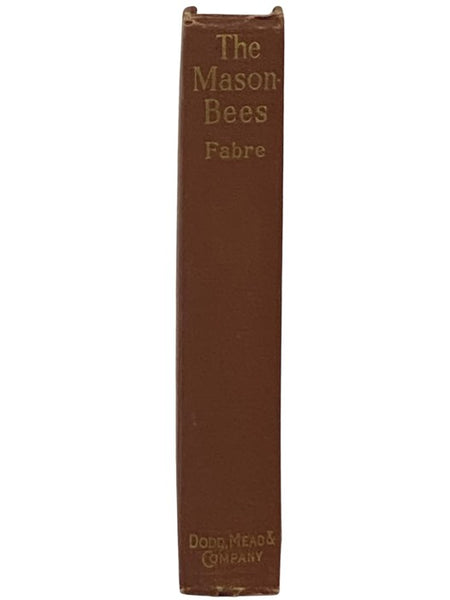 The Mason-Bees