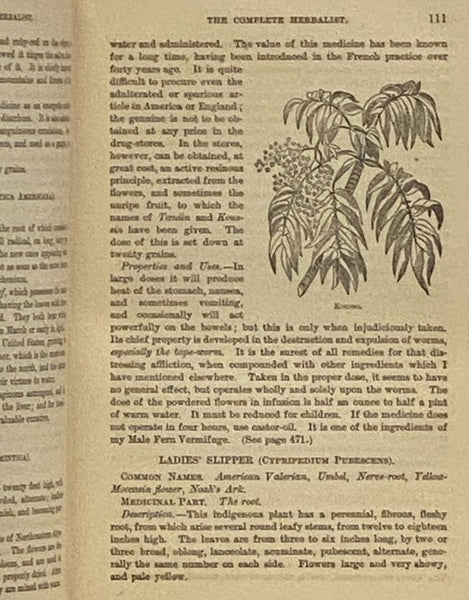 The Complete Herbalist; or, The People Their Own Physicians, by the Use of Natures Remedies; Describing the Great Curative Properties Found in the Herbal Kingdom. A New and Plain System of Hygienic Principles, Together with Comprehensive Essays on Sexual…
