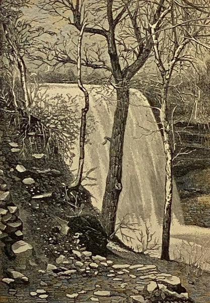 Minnesota; Its Character and Climate. Likewise Sketches of Other Resorts Favorable to Invalids; together with Copious Notes on Health; also Hints to Tourists and Emigrants.