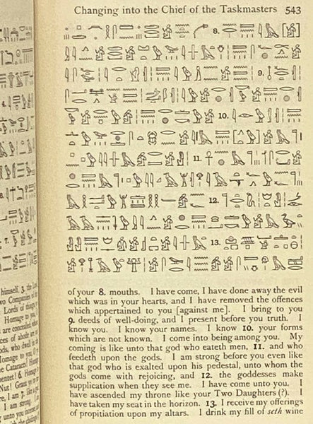 The Book of the Dead: The Hieroglyphic Transcript and Translation into English of the Ancient Egyptian Papyrus of Ani