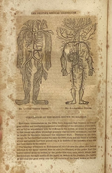 The People's Medical Lighthouse; A Series of Popular and Scientific Essays on the Nature, Uses, and Diseases of the Lungs, Heart, Liver, Stomach, Kidneys, Womb and Blood; Also, a Key to the Causes, Prevention, Remedies, and Cure of Pulmonary and Other Ki…