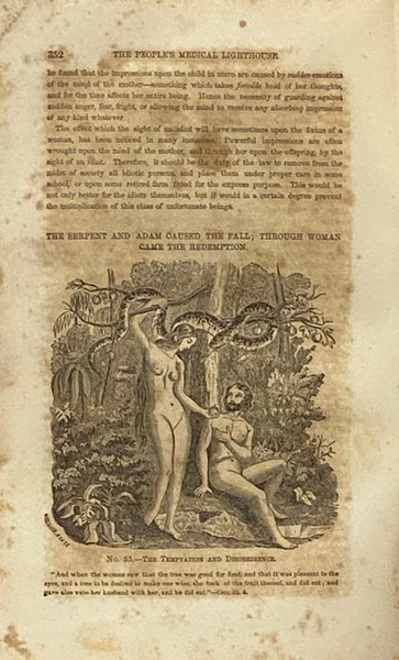The People's Medical Lighthouse; A Series of Popular and Scientific Essays on the Nature, Uses, and Diseases of the Lungs, Heart, Liver, Stomach, Kidneys, Womb and Blood; Also, a Key to the Causes, Prevention, Remedies, and Cure of Pulmonary and Other Ki…