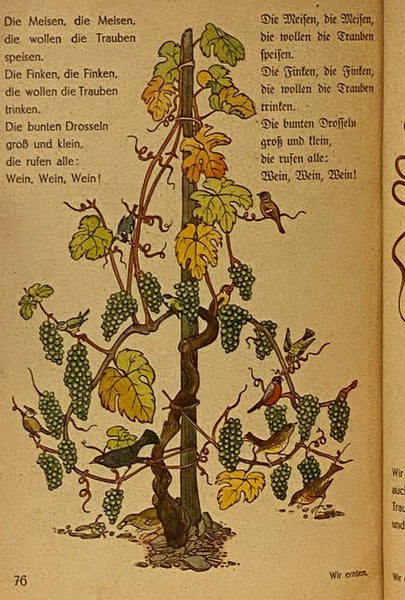 Die lustige Rheinfibel: Ein Lesebüchlein fur die Kleinen mit Bildern [GERMAN TEXT]