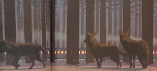 The Polar Express