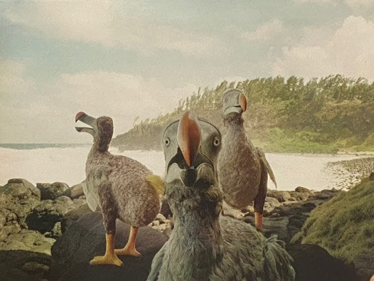The Dodo and Mauritius Island: Imaginary Encounters