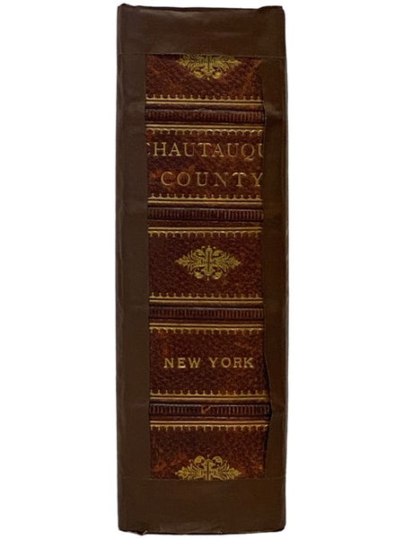 History of Chautauqua County, New York (Illustrated)