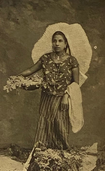 Mexico and Her People of To-day: An Account of the Customs, Characteristics, Amusements, History and Advancement of the Mexicans, and the Development and Resources of Their Country