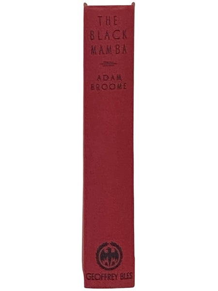 The Black Mamba: A West African Mystery Novel