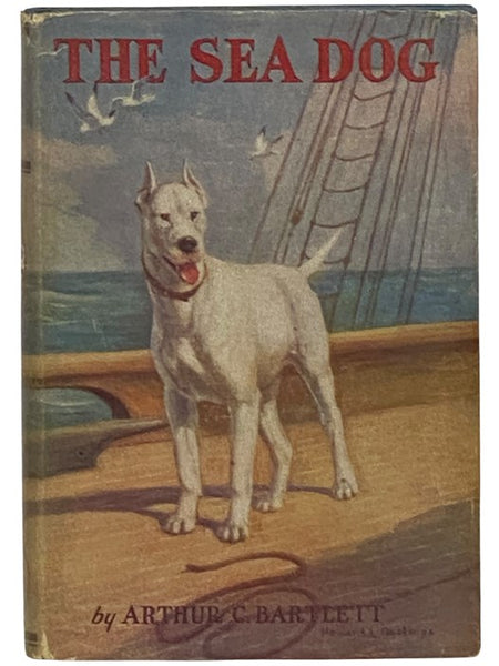 The Sea Dog