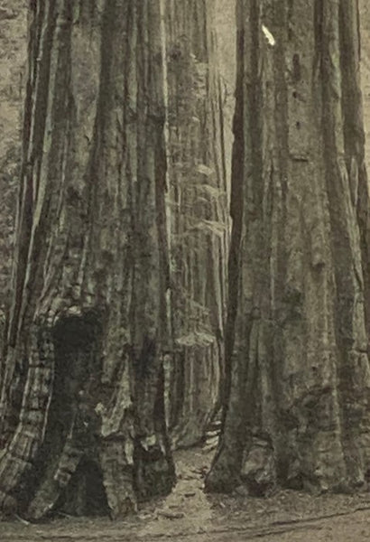 The Lore and the Lure of Yosemite: The Indians, Their Customs, Legends and Beliefs and the Story of Yosemite