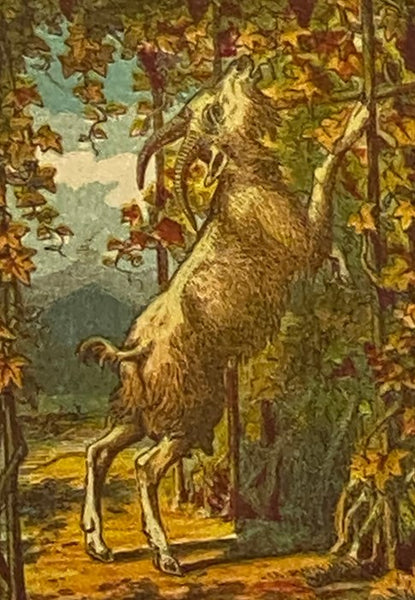 Fables of Aesop, and Others: Translated into English, with Instructive Applications.