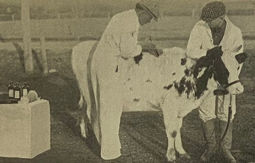 Twentieth Biennial Report of the Kansas State Board of Agriculture to the Legislature of the State, for the Years 1915 and 1916