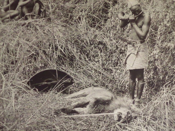 Chronicles of an African Trip
