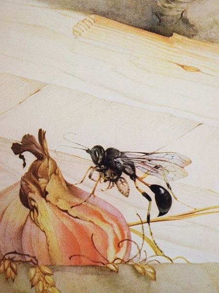 Fabre's Book of Insects: Retold from Alexander Teixeira de Mattos' Translation of Fabre's 'Souvenirs Entomologiques'