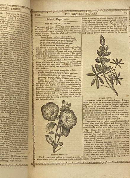 The Genesee Farmer, 1851. Vol. XII. No. 1. - 12.