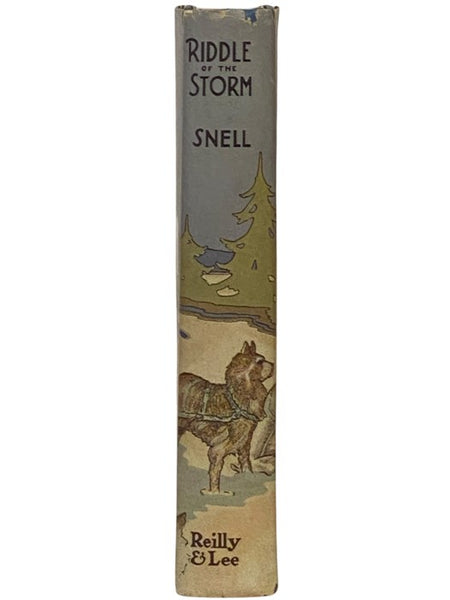 Riddle of the Storm (A Mystery Story for Boys)