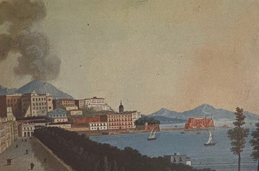 Un Viaggio al Vesuvio: Il Vesuvio visto attraverso diari, lettere e resoconti di viaggiatori