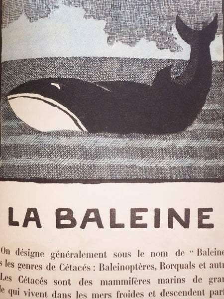 L'Arche de Noe [Noah's Ark]