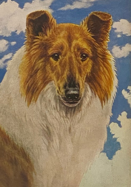 Lassie Come Home