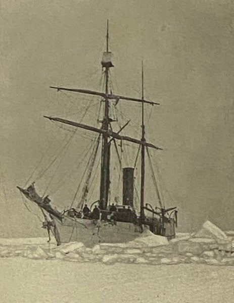 The Young Ice Whalers