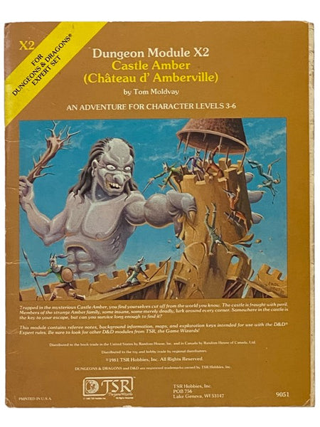 Castle Amber (Chateau d' Amberville): An Adventure for Character Levels 3-6 (Dungeons Module X2, for Use with Dungeons & Dragons Expert Set)